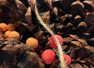 Red and orange beads nestled in a pile of pinecones and draped with beige twine