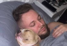 The Dads Who Didn’t Want a Pet… And Where They Are Now