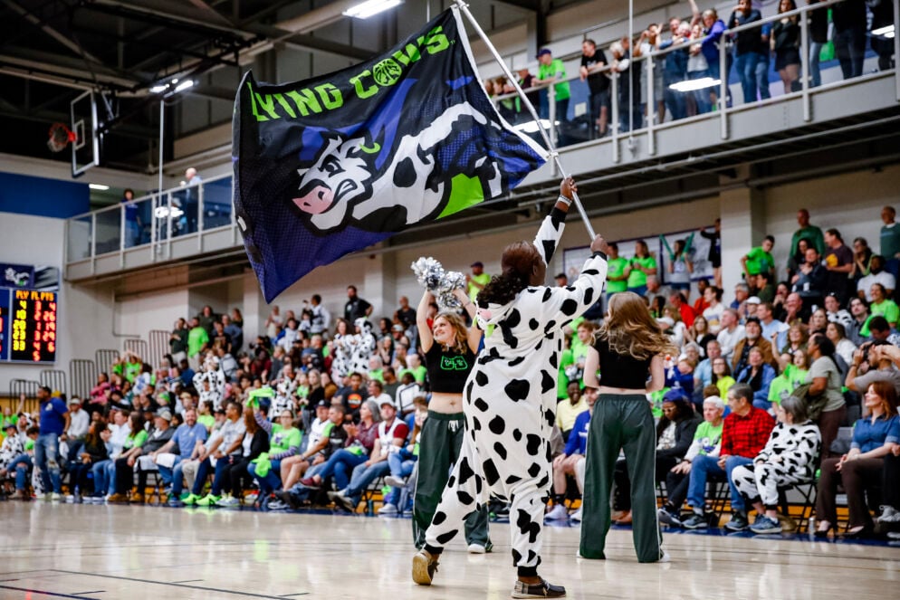 People dressed as cows at a Frederick Flying Cows game