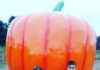 Children with pumpkins sit in front of a giant pumpkin statue
