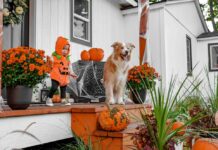 A child wearing a pumpkin costume and a dog on a porch
