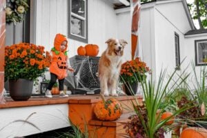 A child wearing a pumpkin costume and a dog on a porch