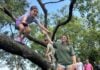 A Jump Start on Summer Fun A counselor helps a child climb a tree at Camp Wright