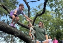 A counselor helps a child climb a tree at Camp Wright