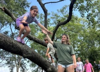 A Jump Start on Summer Fun A counselor helps a child climb a tree at Camp Wright