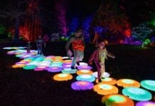 Winter Walk of Lights