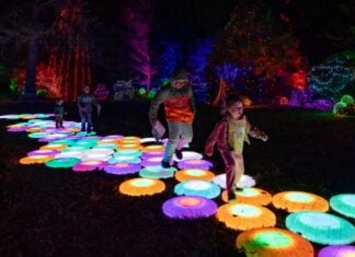 Visit Northern Virginia for Dazzling Holiday Lights Winter Walk of Lights