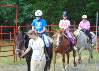 Summer Camp Safety in a Post-Camp Mystic America