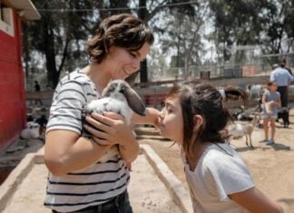 A mother and daughter at a petting zoo, the mother is holding a bunny