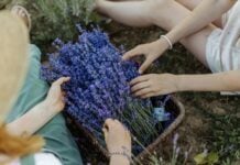6 Can’t-Miss Frederick Events This Summer