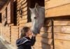 Family-Friendly Events in Frederick: June 26-28 Girl with horse