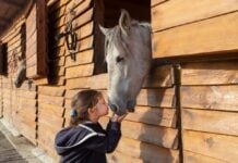 Family-Friendly Events in Frederick: June 26-28 Girl with horse