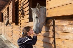 Girl with horse
