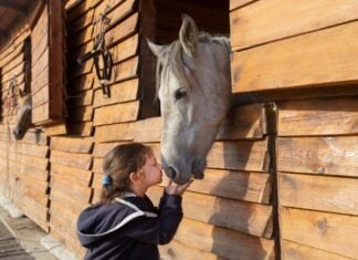 Girl with horse