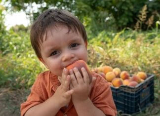 A boy eating a peach with a crate of peaches behind him