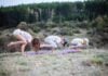 Weekend Fun in Frederick: July 18-19 An adult woman and two children doing yoga outside
