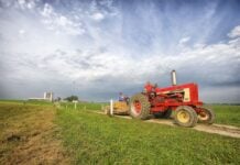 Fall Farm Festivals in Maryland
