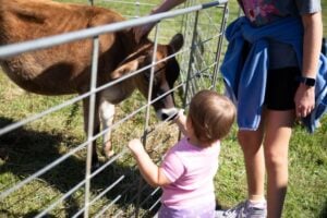 A baby at a petting zoo at Brunswick Railroad Days