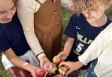 Top 5 Things to Know in October
