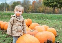 14 Family-Friendly Holiday Activities to Do Around Philadelphia This Winter