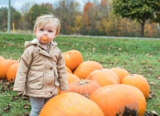 14 Family-Friendly Holiday Activities to Do Around Philadelphia This Winter