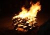 The Best Events in Frederick This October and November Bonfire