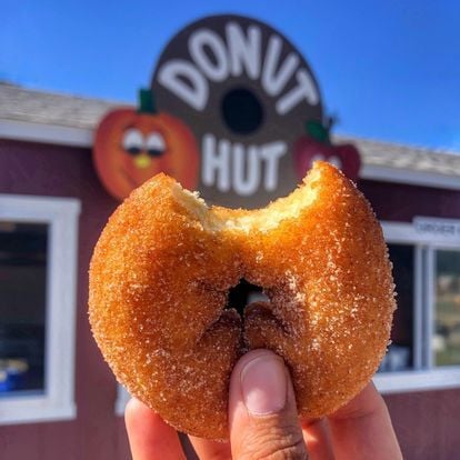 Apple cider donut from Gaver Farm