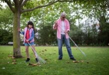 Care for Your Yard This Fall