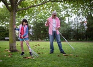 Care for Your Yard This Fall